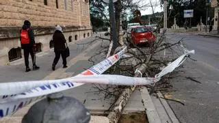 La borrasca Leonardo trae el jueves una sorpresa tropical a Alicante