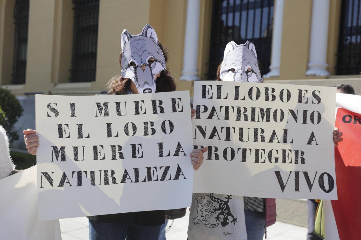 Protesta contra la desprotección del lobo, en abril de 2025, en Oviedo.