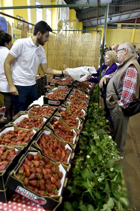 Feria de la fresa de Valsequillo, 2017