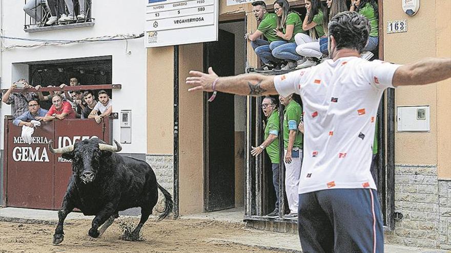 Buena presentación y espectáculo a la altura en el Bou de Sant Josep