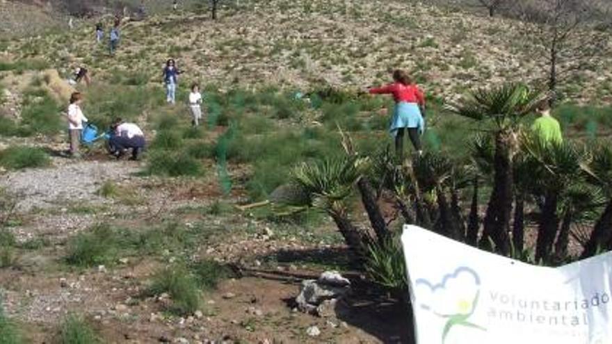 Los voluntarios haciendo labores de reforestación.