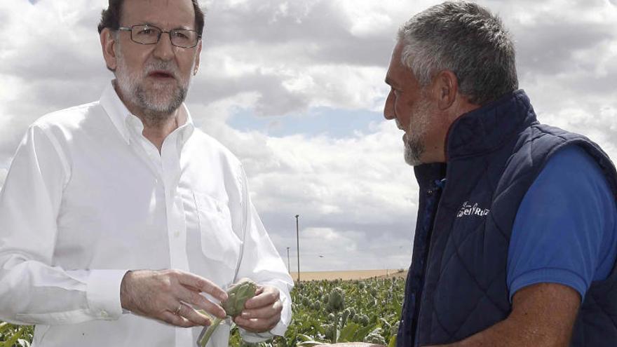 Rajoy posa en un campo de alcachofas, durante la campaña electoral.