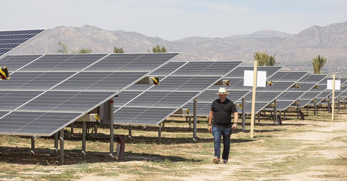 Planta solar en Albatera.