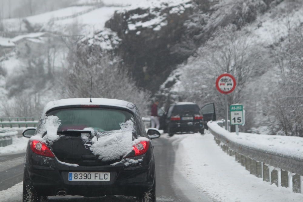 Nevada en el Alto Aller