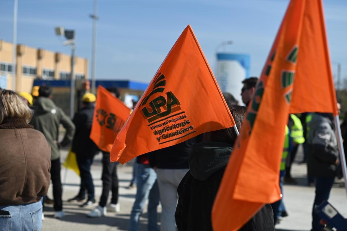 En imágenes I Protesta de los agricultores en Zaragoza