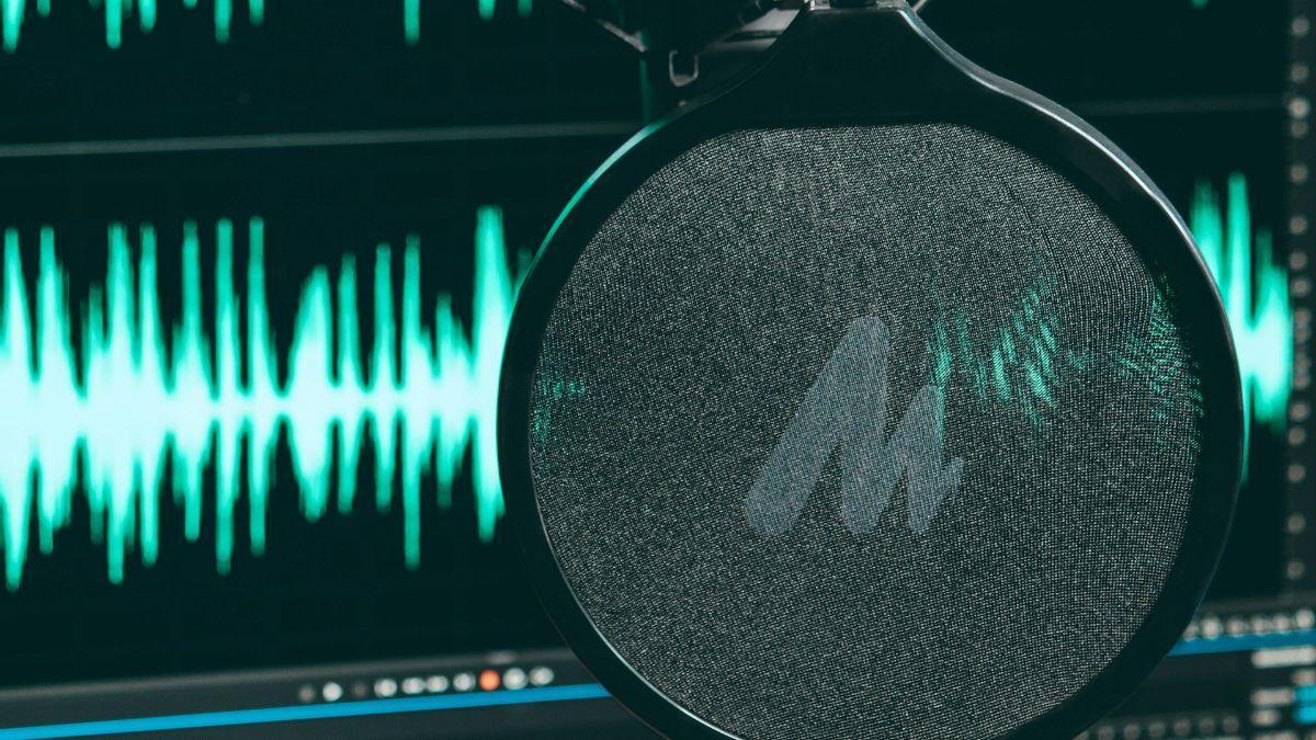 DivNet genera numerosas variantes de un modelo de reconocimiento del habla para dificultar que los audios maliciosos se utilicen contra millones de dispositivos.