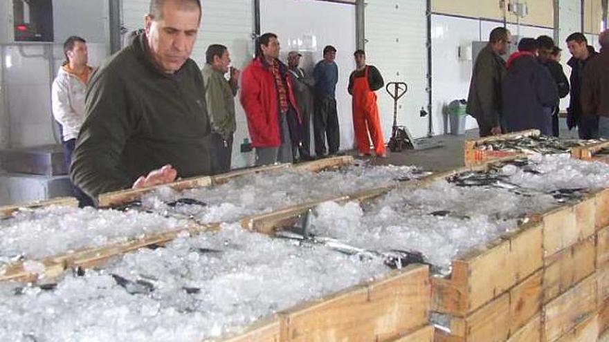 Una imagen de archivo de actividad en la Lonja de Pesca.