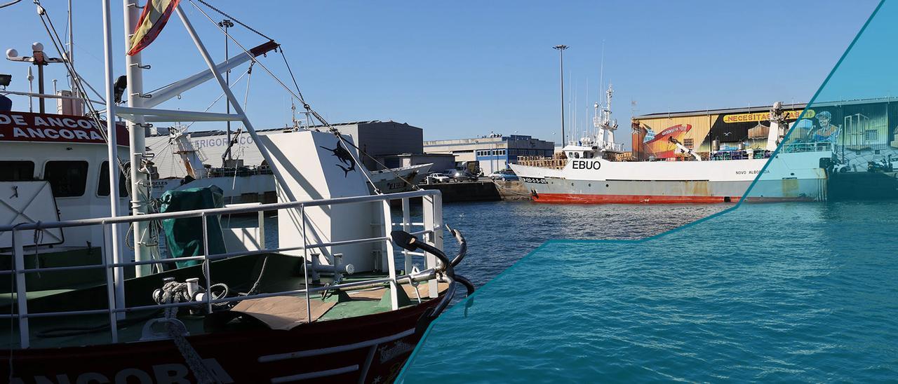 Barcos de pesca amarrados en el muelle del Berbés, Puerto de Vigo