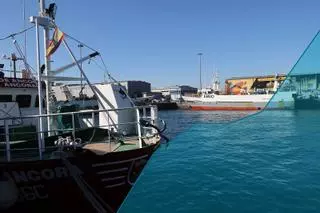 La industria pesquera enfila ventas de 2.500 millones en el exterior en un 2021 de récord