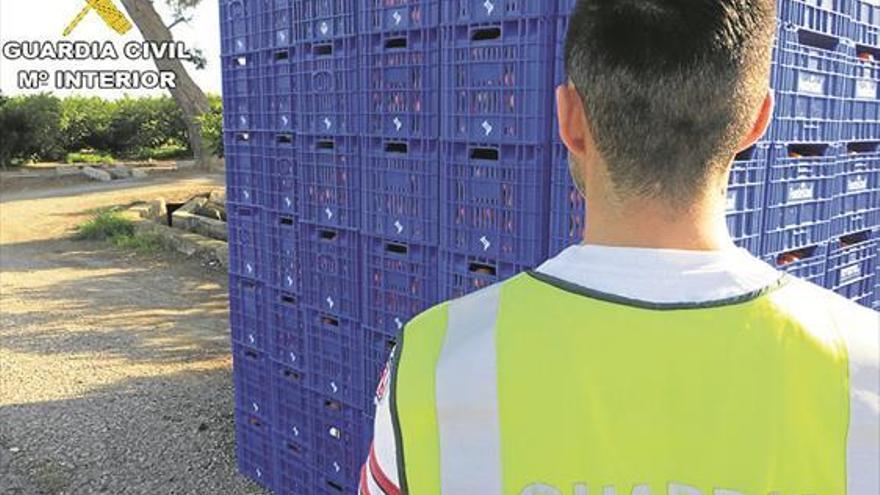 Fontestad no tiene relación con el robo de naranjas