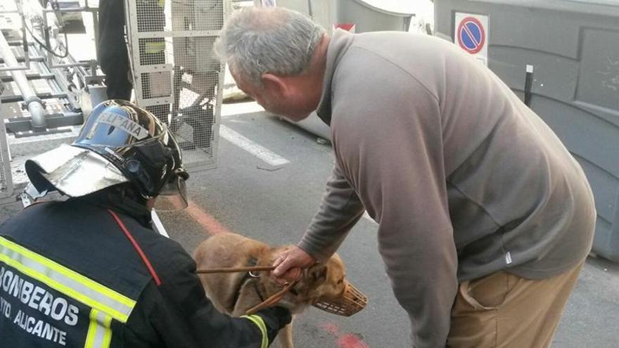 Los bomberos rescatan a un perro tras 4 días sin comer ni beber encerrado en un balcón