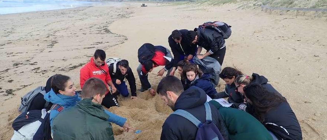 Alumnos de Alcalá clasificando sobre la playa la basura recogida. // Muñiz