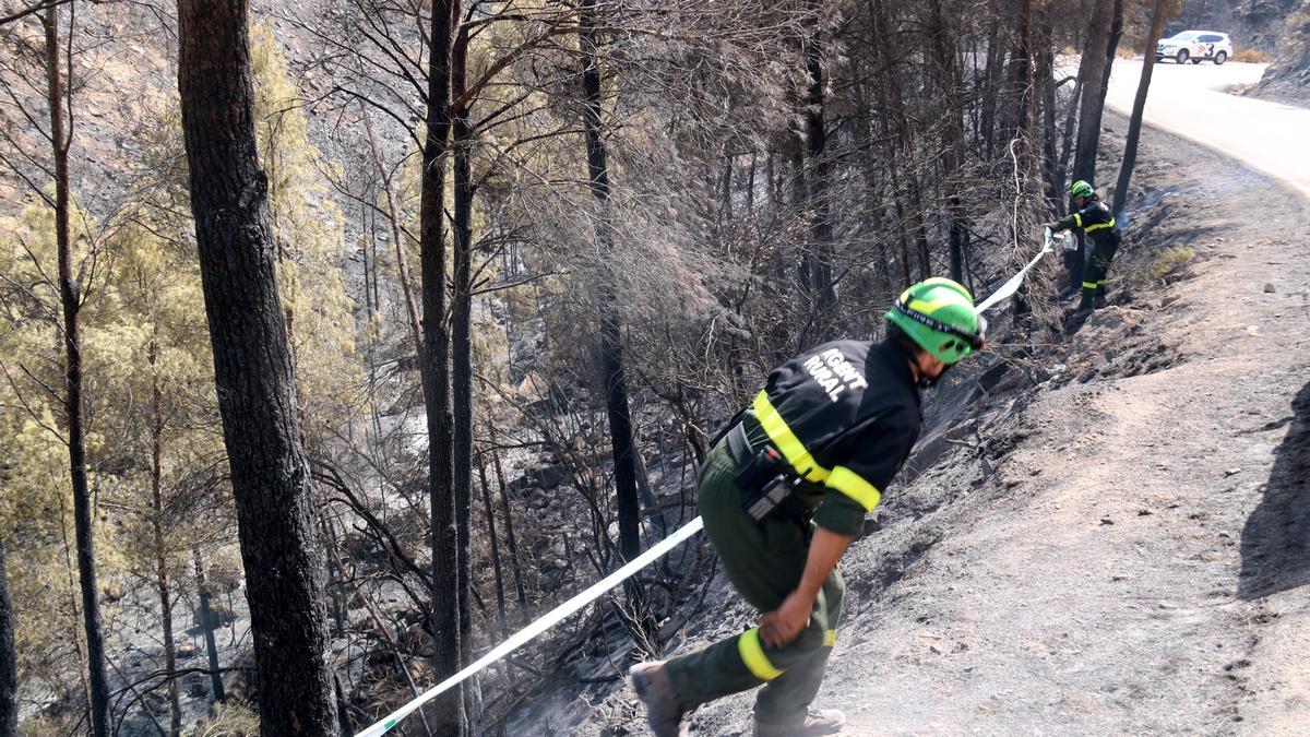 Dos agents rurals treballant en una de les zones cremades de l&#039;incendi de la Pobla de Massaluca.
