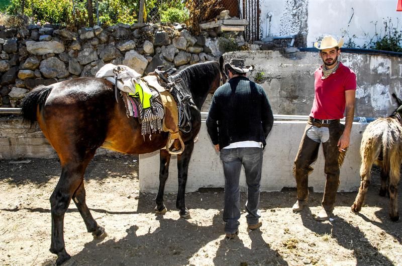 XX Feria Equina de La Culata de Tejeda