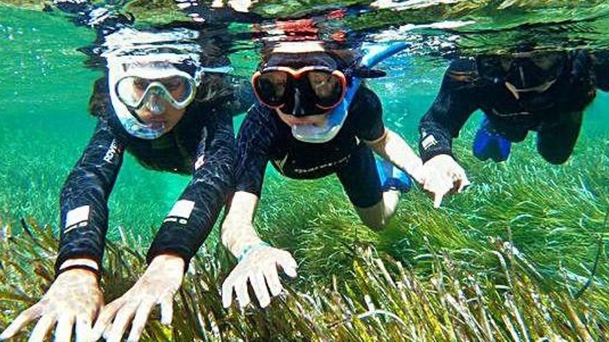 Pequeños buceadores sobre una pradera de posidonia. Diran Devletian Carrasco