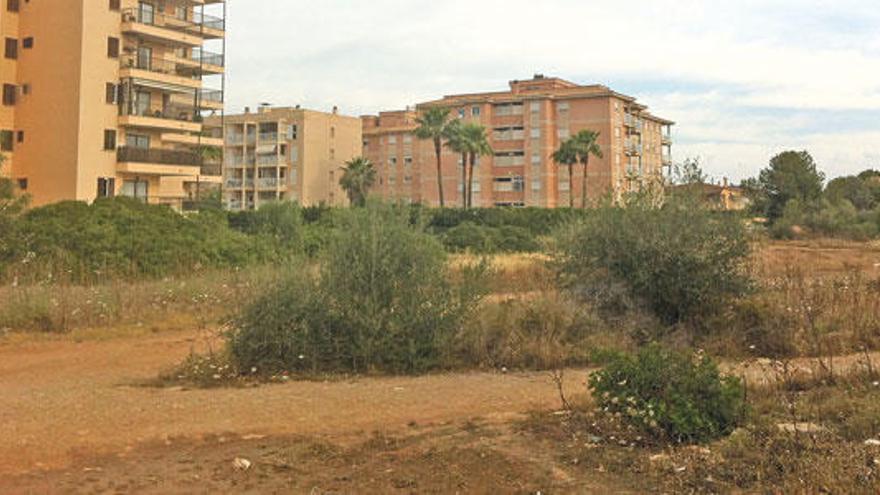 En estos terrenos, pegados a Las Palmeras, se alzarán las nuevas casas.