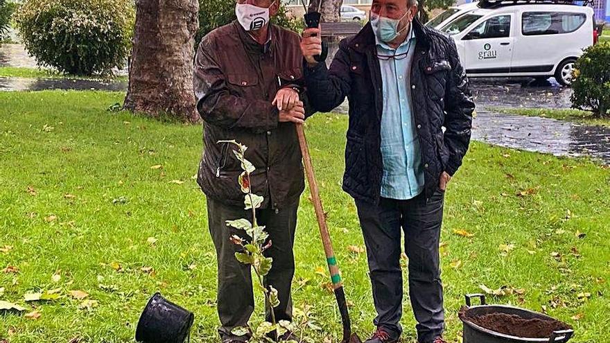 Joaquín Araújo, tras plantar un haya en el parque de Arriba, junto a Manuel Fernández Tamargo, de la asociación &quot;Amigos de Grado&quot;.