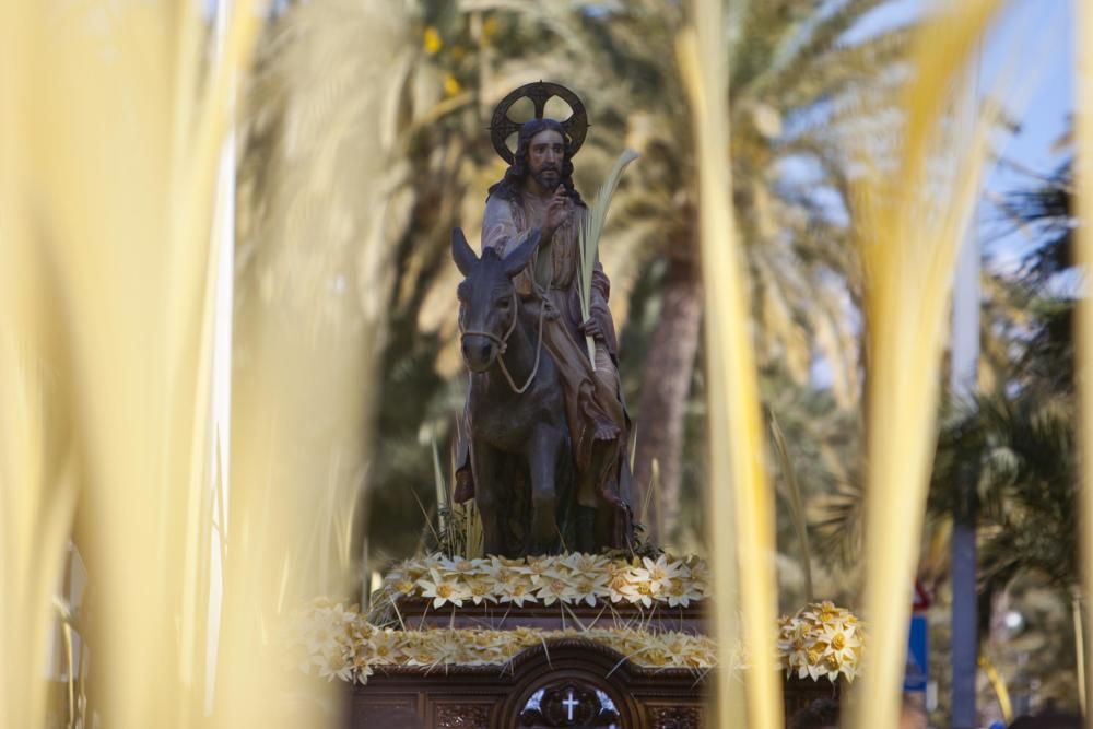 Domingo de Ramos en Elche