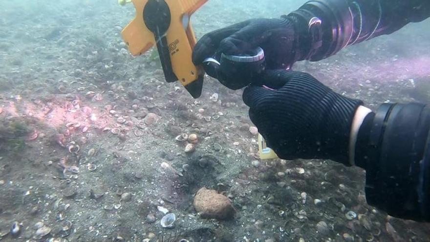 Los arqueólogos trabajan con mucha calma y precisión en la zona, que abarca 9.600 metros cuadrados.