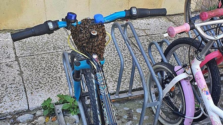 L’eixam d’abelles, cobrint part del manillar d’una bici