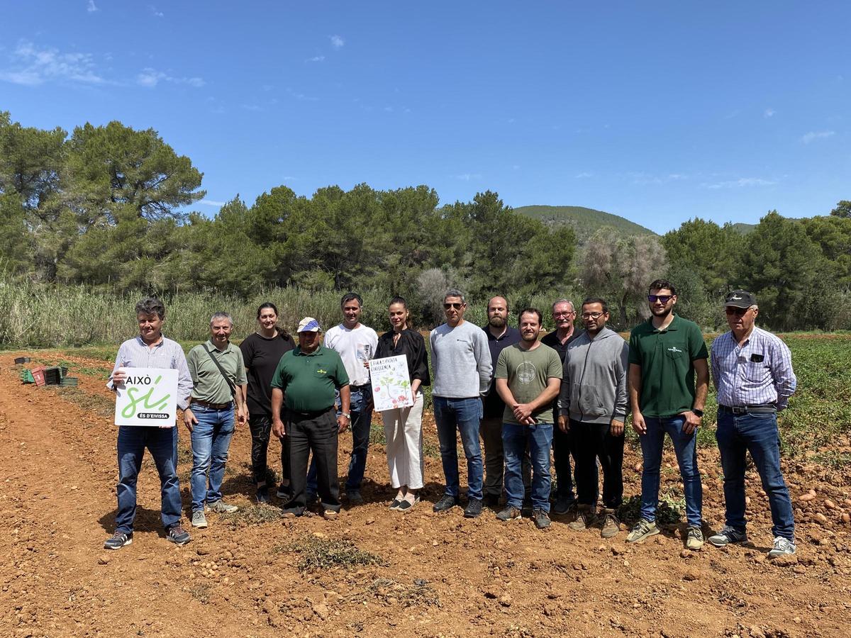 Galería: Así ha sido la presentación de la campaña de la 'patata vermella eivissenca' en Es Figueral Galería: Así ha sido la presentación de la campaña de la 'patata vermella eivissenca' en Es Figueral