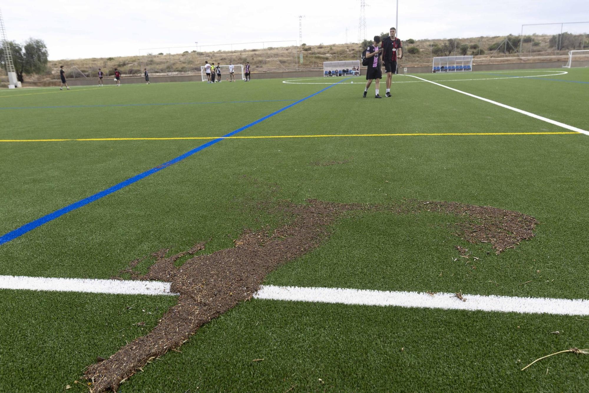 San Gabriel reclama la apertura del campo de La Cigüeña tras el fin de las obras