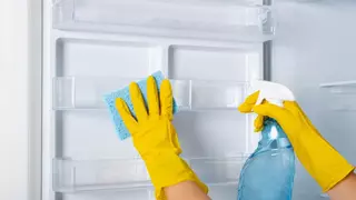 Cómo limpiar el frigorífico por dentro