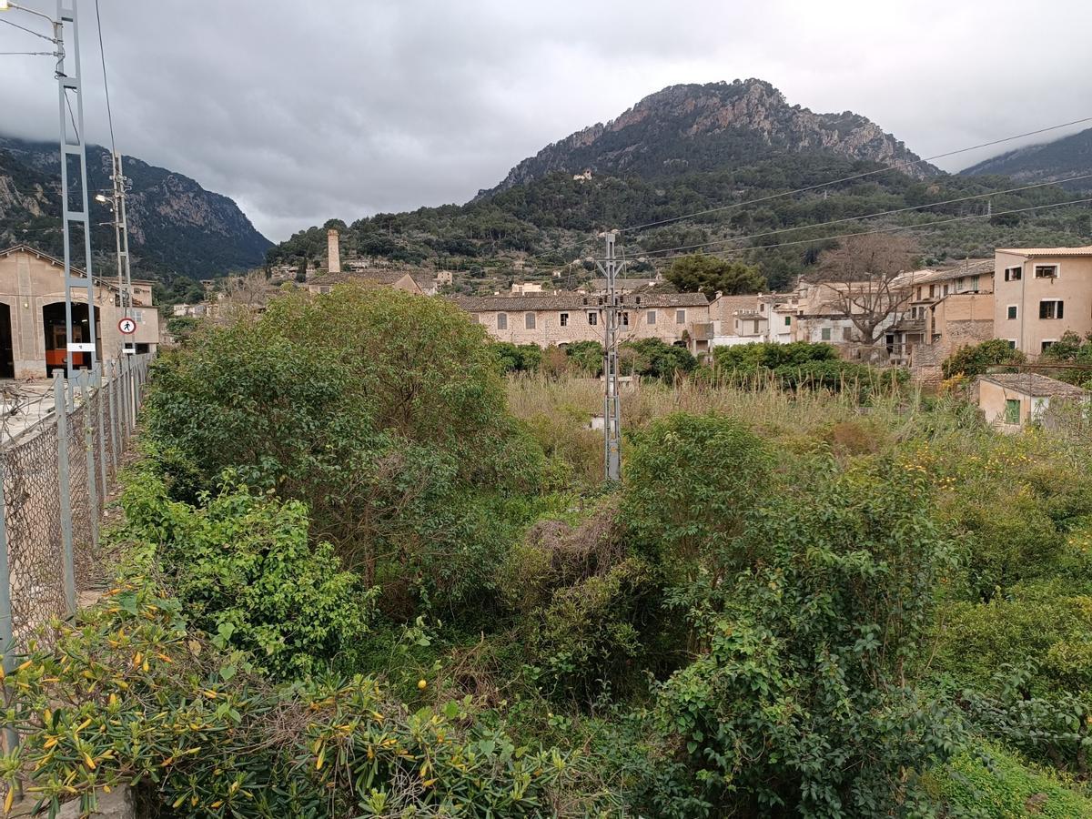 El huerto que ha comprado el Ayuntamiento de Sóller.