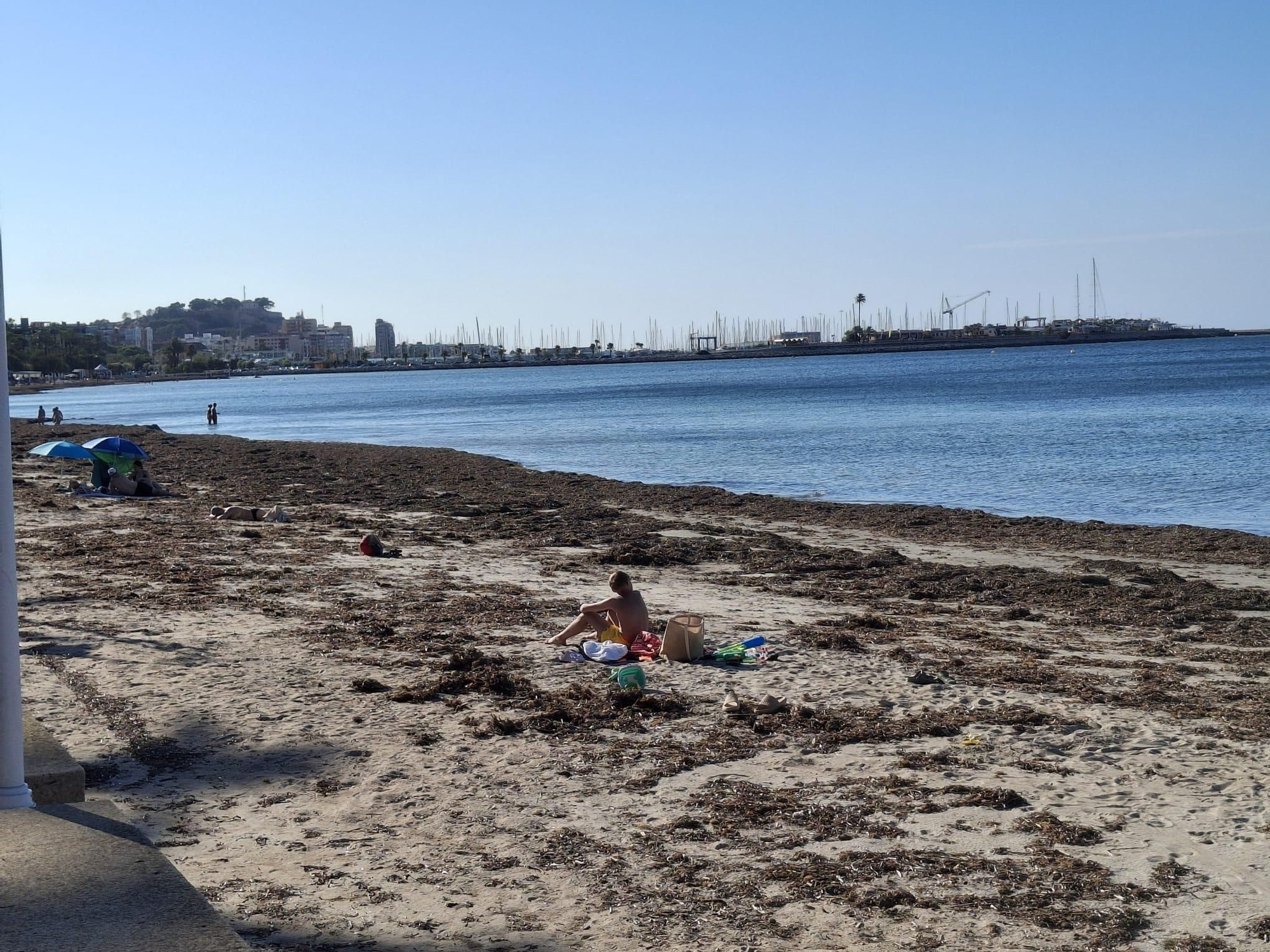 ¡Esto es vida!: manto de posidonia, aguas cristalinas y paz absoluta en la Marineta Cassiana de Dénia