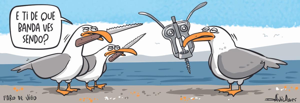 Viñetas. Bichero. Luis Davila. Gaviotas. Foto viral de gaviota con cuchillo sacada por Lara Graña, redactora jefa de Faro de Vigo. Bandas. Sacacorchos