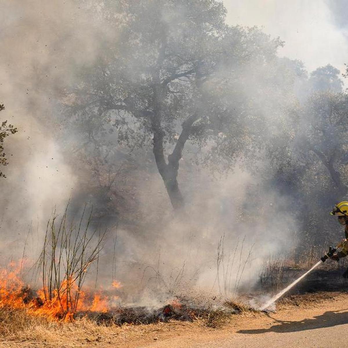Incendios forestales en Catalunya y resto de España, en directo | Última hora del fuego en La Bisbal