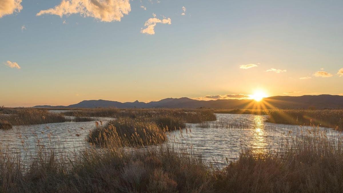 Foto de archivo del Prat de Cabanes-Torreblanca, un preciado parque natural que los expertos avisan que podría desaparecer por la subida del nivel del mar.