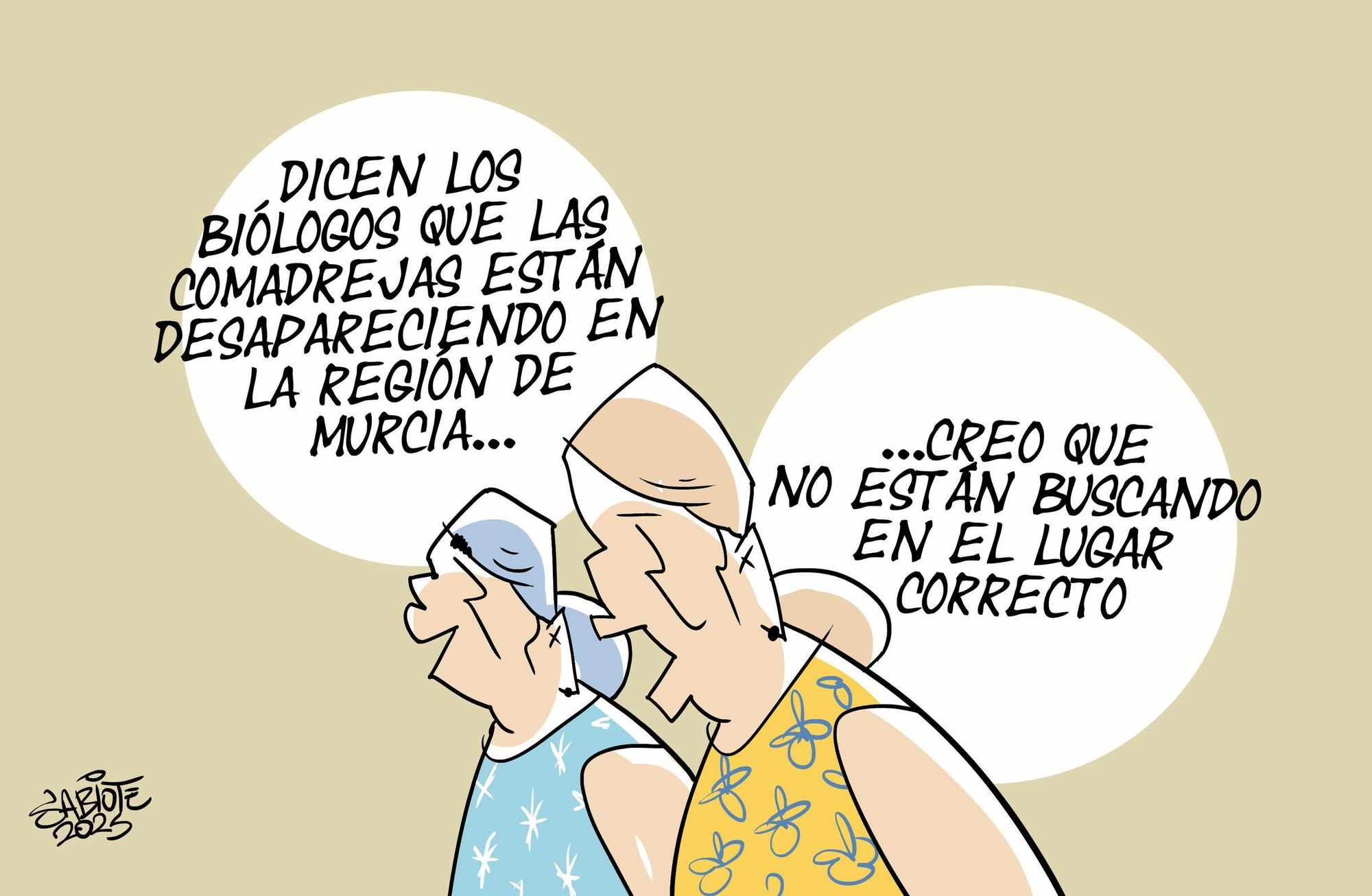 La Rendija de Sabiote (24/06/2025)