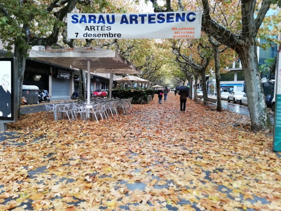 Milers de fulles cobreixen els carrers de Manresa