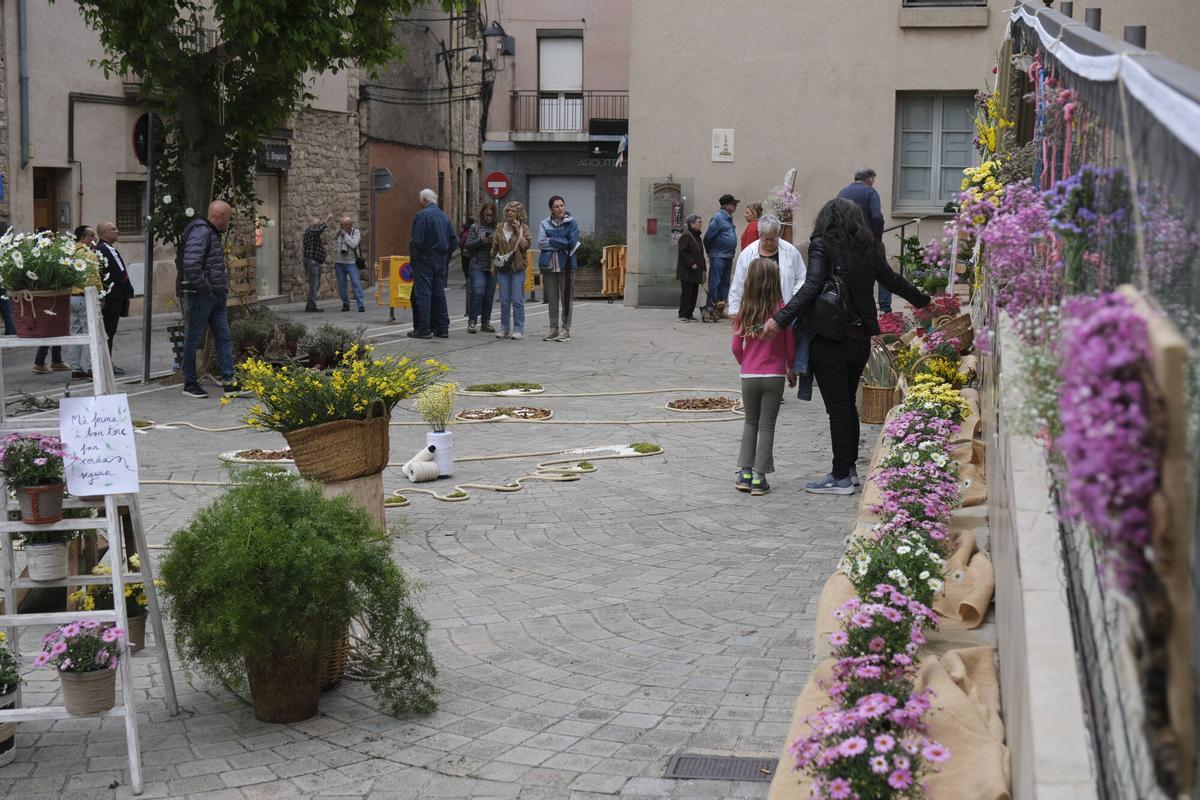 Les imatges de Santpedor en Flor Les imatges de Santpedor en Flor