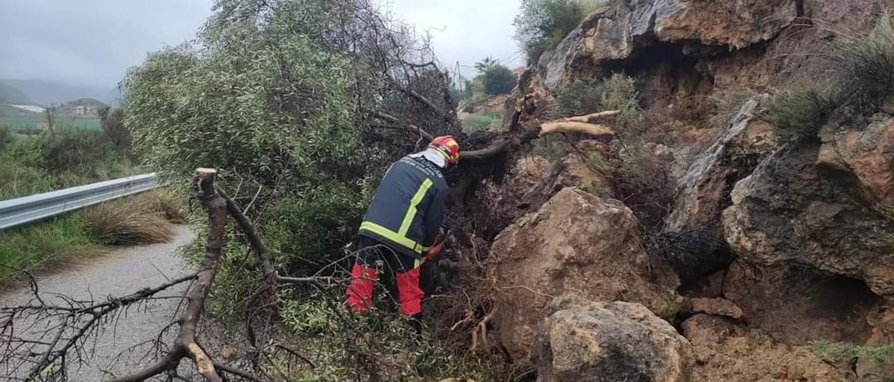 Un técnico de Emergencias corta las ramas de un árbol que ha caído en la carretera de Ugéjar a Ramonete.