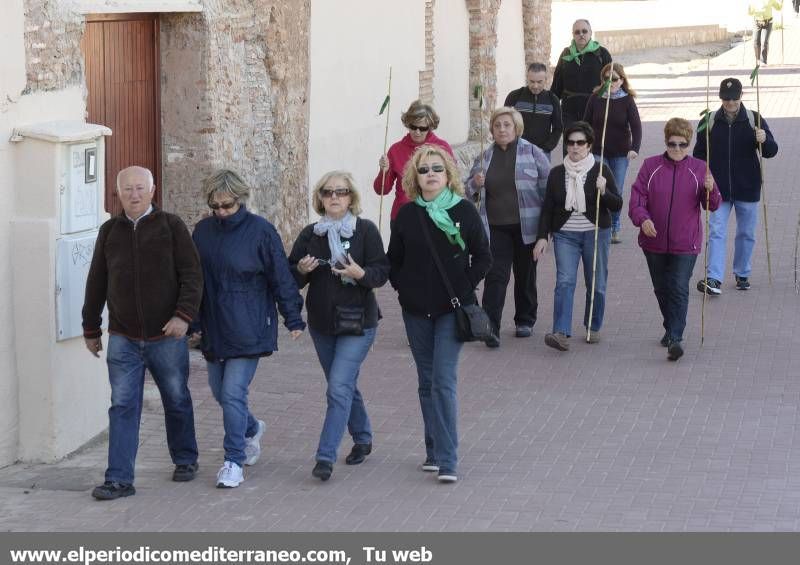 GALERÍA DE FOTOS - Romería Magdalena 2014 (2)