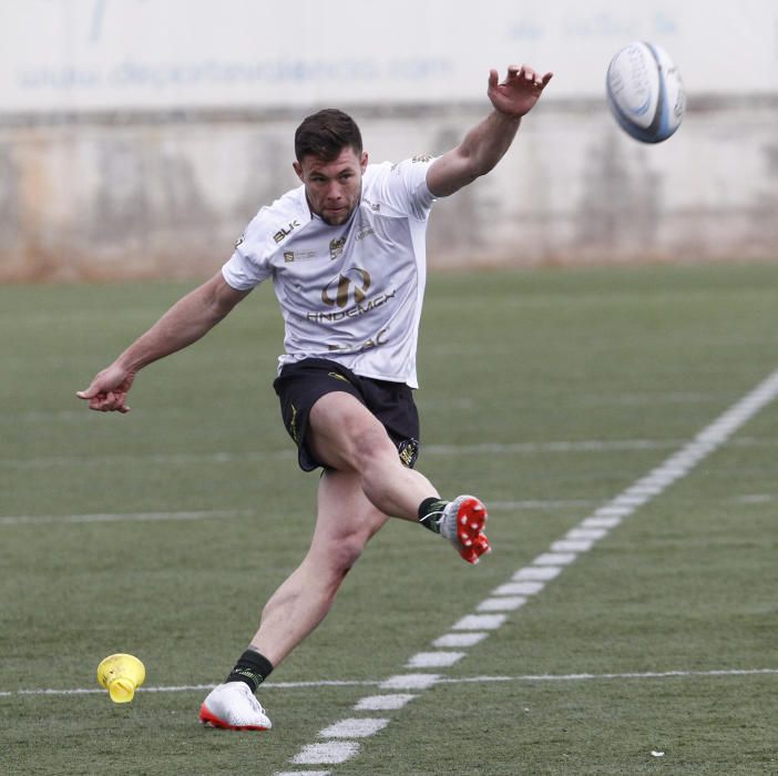 Les Abelles- tatami, rugby