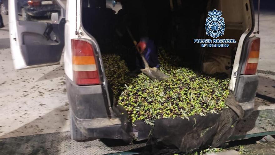 Detenidos in fraganti ocho personas con una tonelada de aceitunas robadas en Antequera