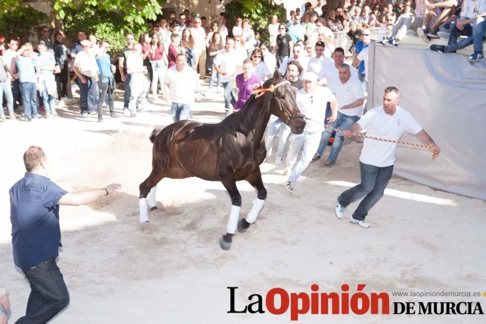 Día uno de mayo, entrada de caballos al Hoyo