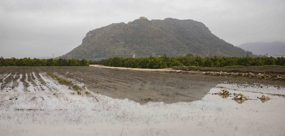 Segundo día del  Temporal Gloria en la Vall d'Albaida, la Costera y la Canal de Navarrés