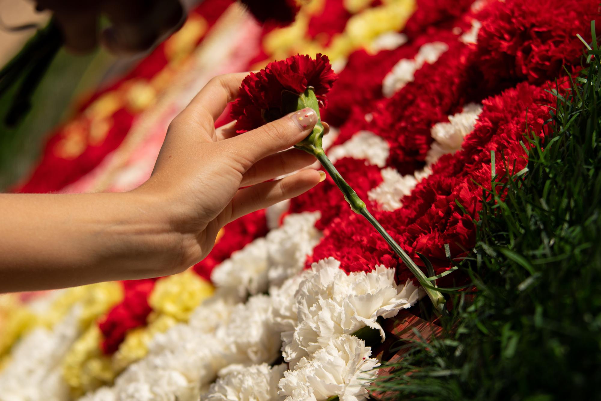 Así ha vestido Almassora el tapiz de flores en honor a Santa Quitèria