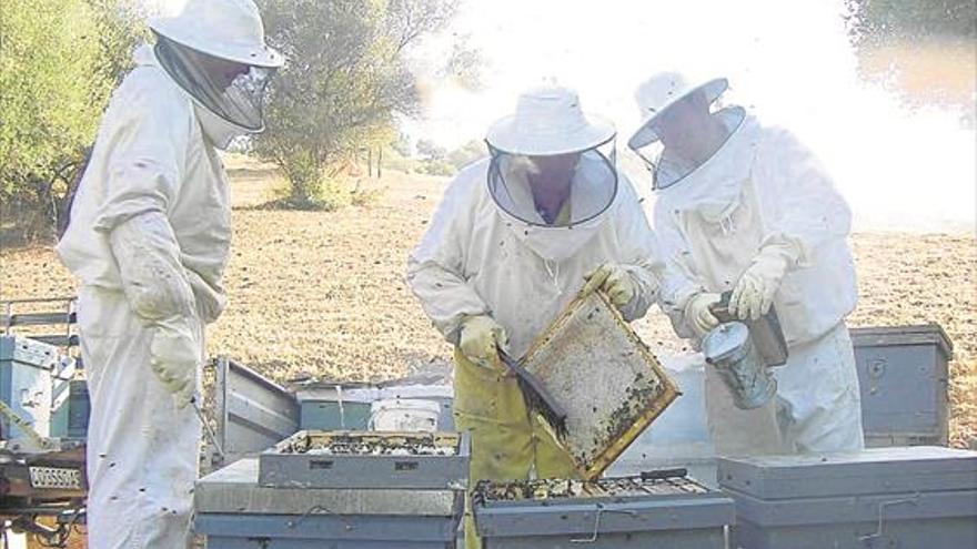 Barreras contra las colmenas