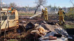 Jornada de incendios: arden un contenedor, un coche y unos invernaderos