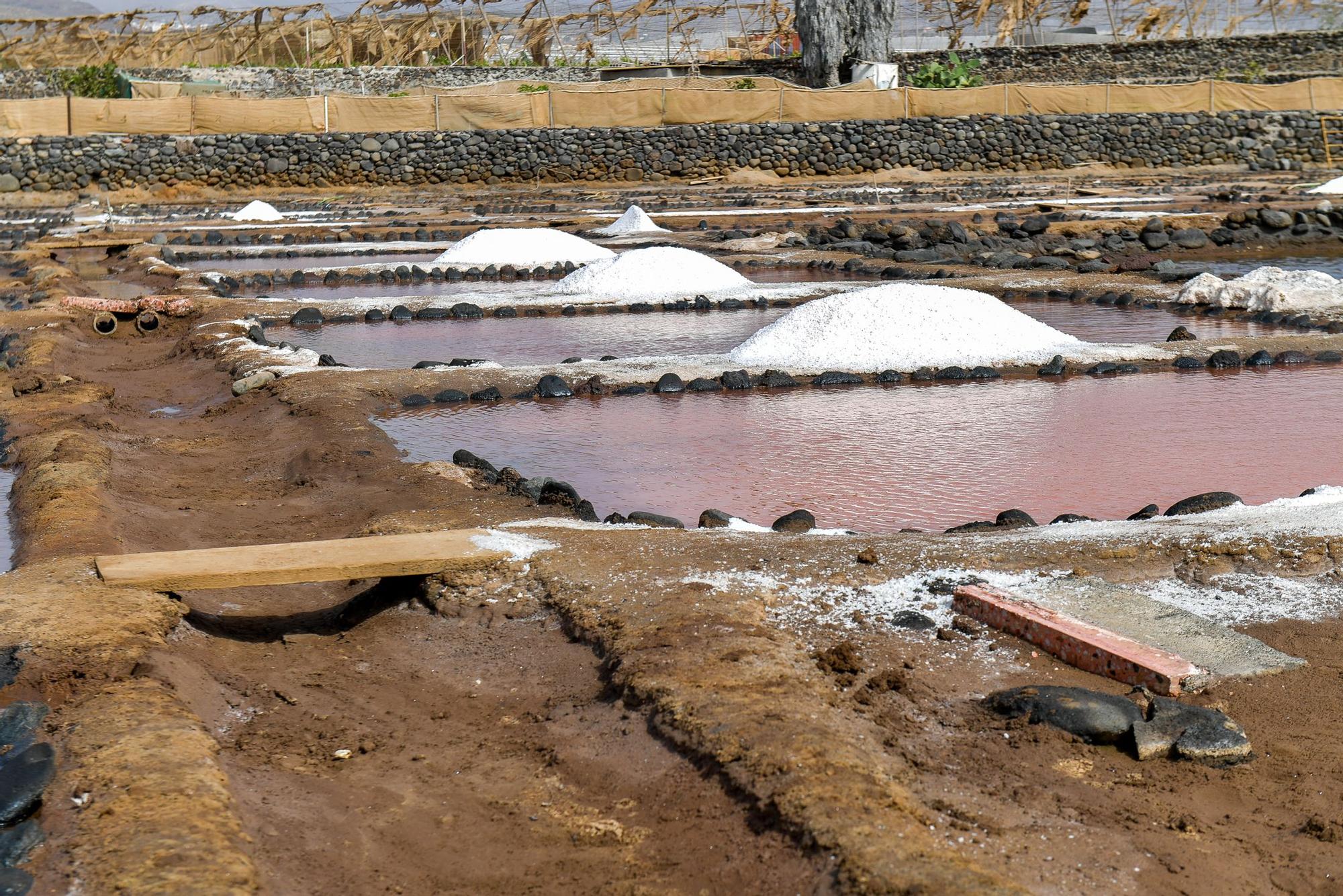 Salinas de Vargas