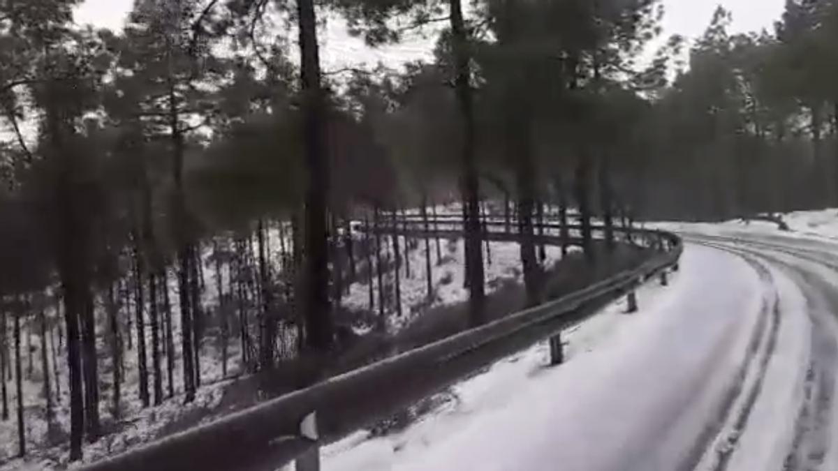 Borrasca Celia en Tenerife: La nevada llega también a La Palma y Gran  Canaria