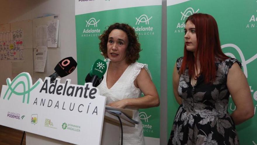 Adelante Andalucía afirma que los presupuestos de la Junta son &quot;la guinda del pastel a diez años de recortes&quot;