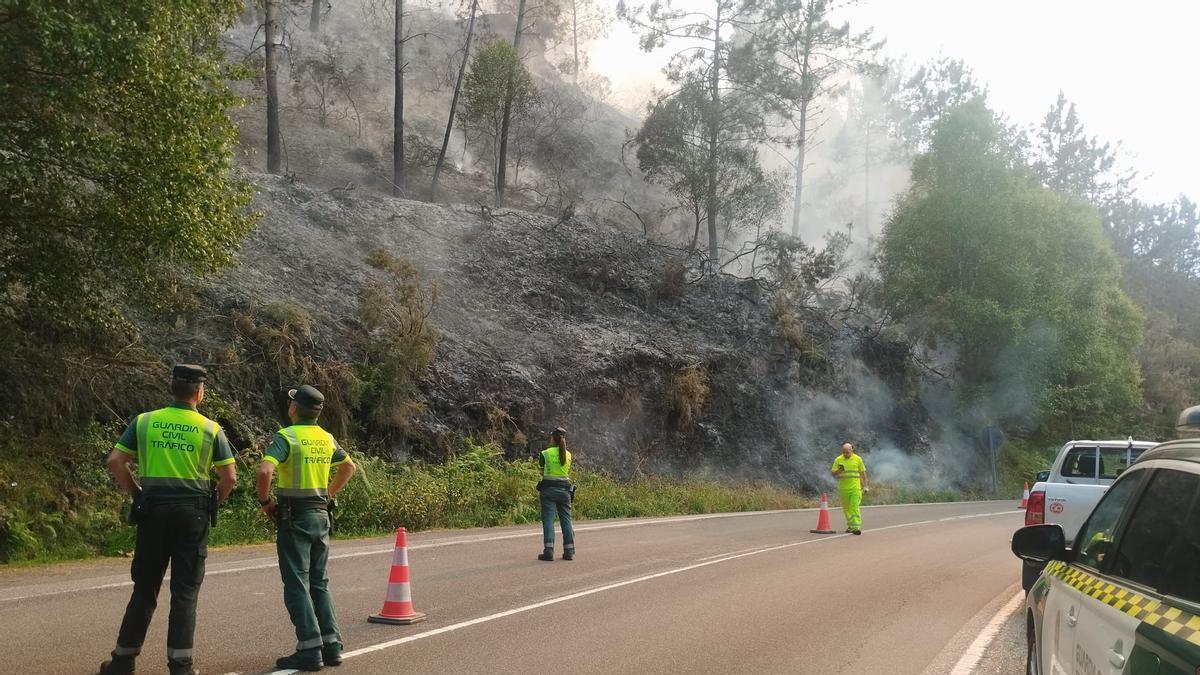 Incendio en la zona de Cabruñana, en Grado