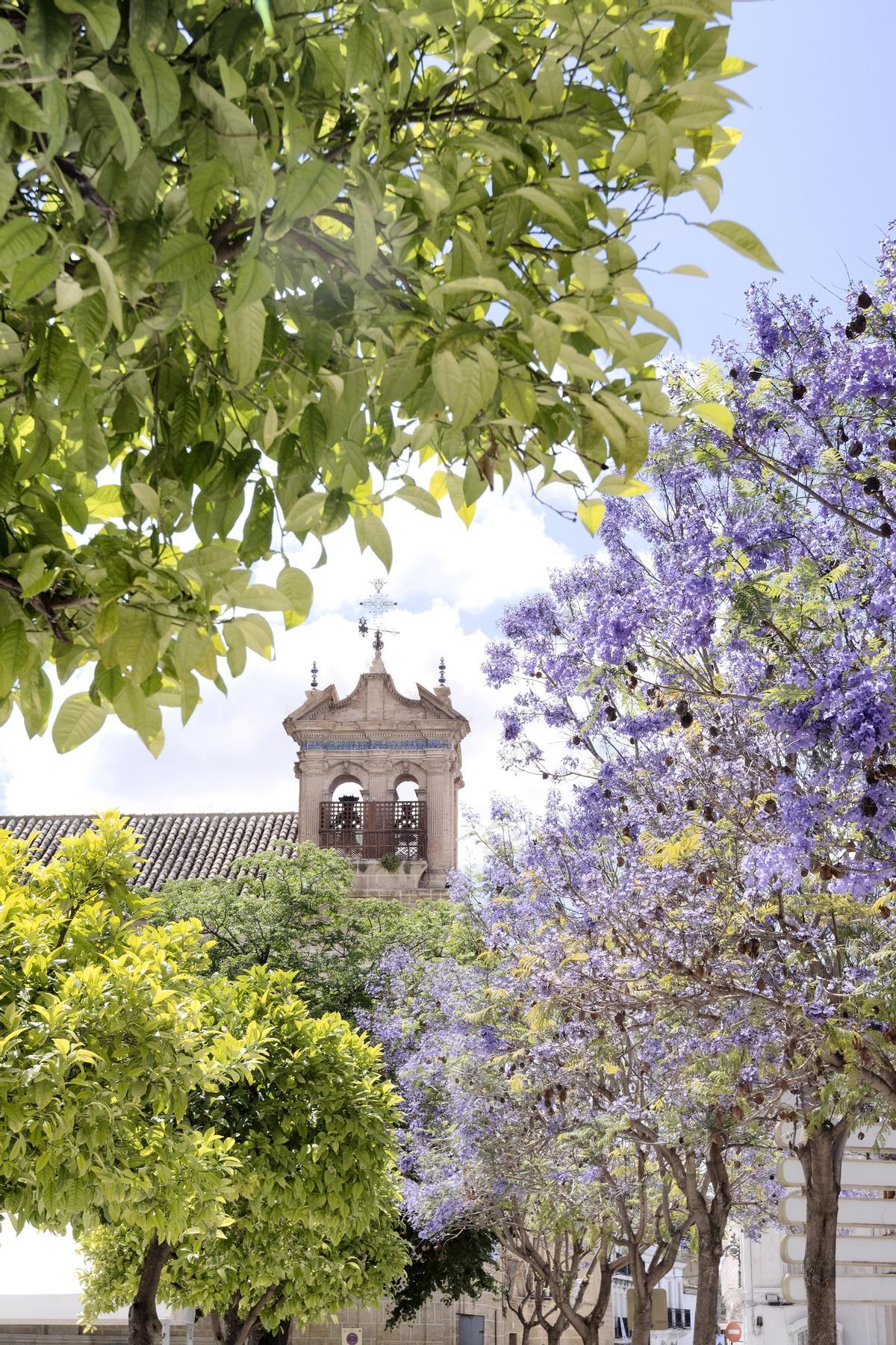 Campanario de la Iglesia Convento de la Concepción en la Plaza Mayor de Osuna.