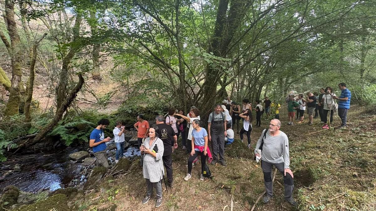 La ruta realizada por Goza do Ulla por los montes de O Sexo, en Agolada.